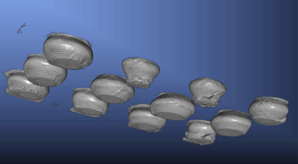 通孔(Through-Hole)焊接的X射线三维分析图 通孔(Through-Hole)焊接的X射线三维分析图