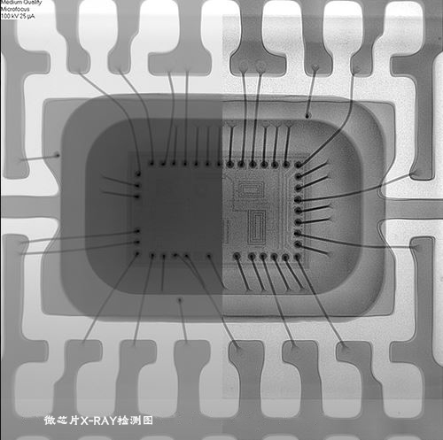 微芯片X-ray检测图